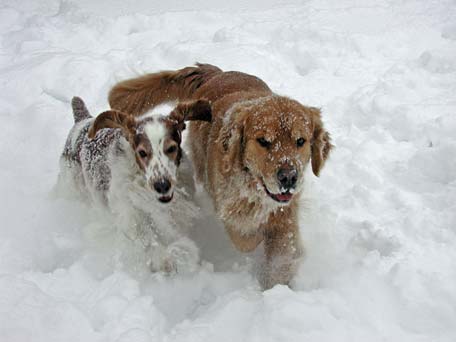 Boozer & Talon Snow Run